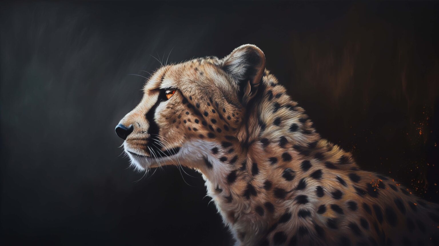 4k Cheetah Wallpapers For Free