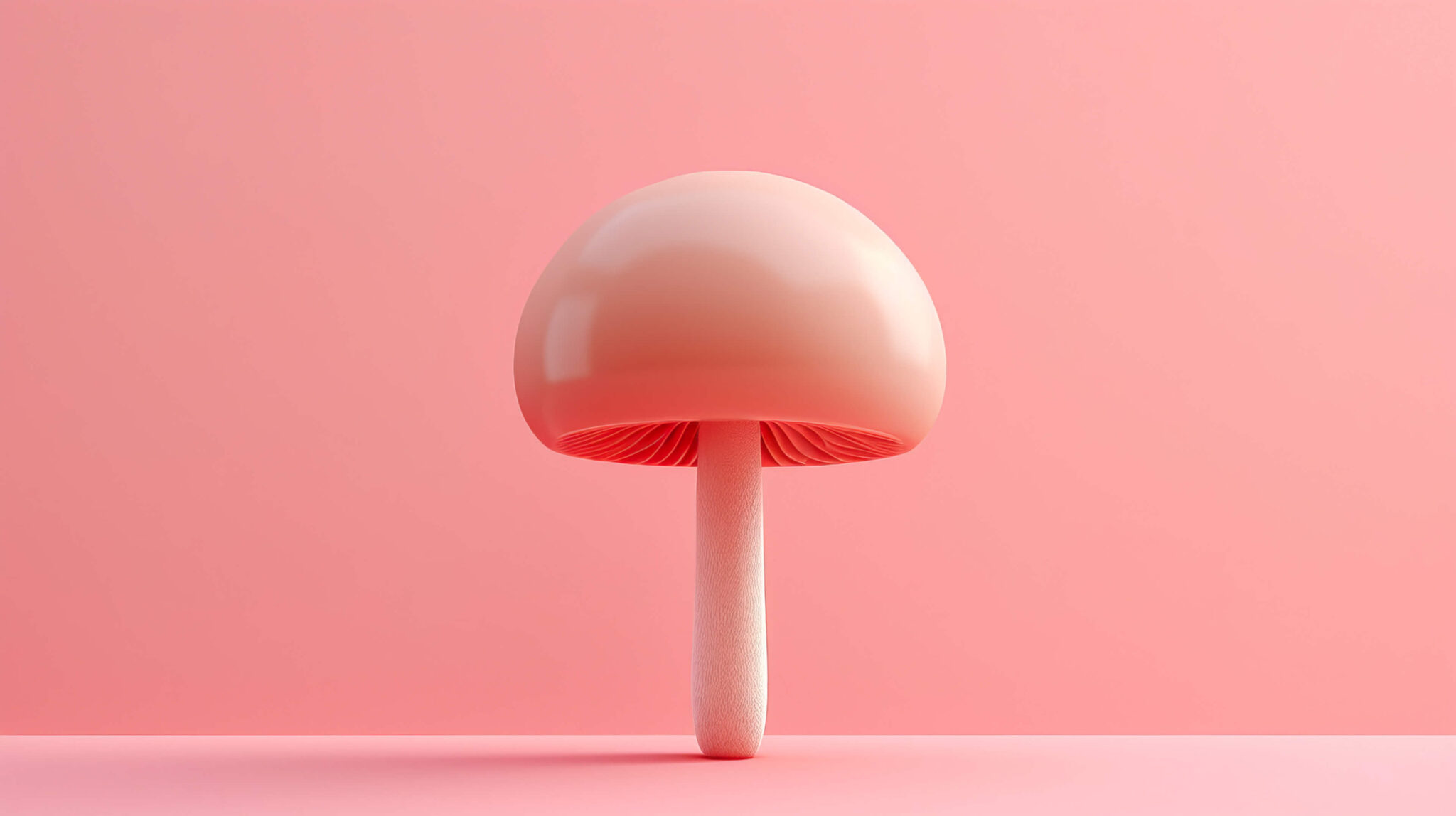 Cute Mushroom Wallpaper, Free, 4k