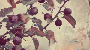 A wallpaper featuring vintage fig patterns with muted tones that evoke a nostalgic ambiance
