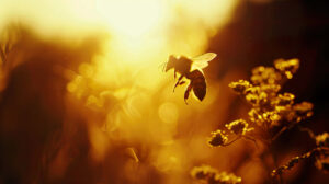 Capturing the beauty of nature a honeybee silhouette gracefully glides against a warm and golden sunset in this stunning wallpaper