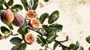 Collage illustration featuring fig leaves and branches creatively arranged to form a visually appealing and unified composition available as a wallpaper in jpg format