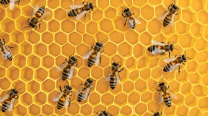 Honeycomb pattern with bees in a geometric arrangement, adding an aesthetic touch