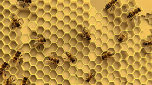 Honeycomb wallpaper featuring bees arranged in an artistic geometric pattern