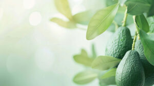 Pastel colored avocado wallpaper with a soft gradient, radiating a calming and soothing ambiance