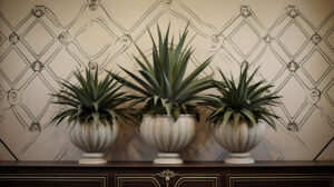 Wallpaper with a visually pleasing and balanced arrangement of symmetrical agaves