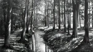 A peaceful black and white wallpaper of a serene woodland scene showcasing tall trees with long shadows and a tranquil stream meandering through the forest
