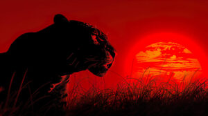 A powerful and vibrant wallpaper capturing a jaguar silhouette set against a fiery sunset