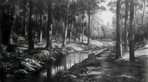 A serene woodland scene in black and white featuring tall trees casting long shadows and a tranquil stream flowing through the forest