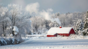A snowy barnyard landscape, with a cozy red barn nestled amidst snow covered trees, and smoke rising from the chimney