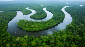 Aerial view of a rainforest with winding rivers and vibrant canopies, offering a breathtaking perspective