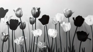 Captivating wallpaper featuring a whimsical garden with black and white tulips dancing in harmony
