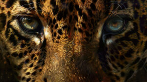 Capture the enigmatic allure within Jaguar Gaze in Artistic Reflection.jpg highlighting the mystery and depth in the felines eyes