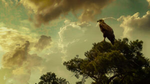 Experience the majesty of a large bird perched high on a towering tree observing its surroundings with vigilant eyes