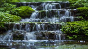 Experience the raw might of nature as a tropical rainforest waterfall tumbles down moss covered rocks