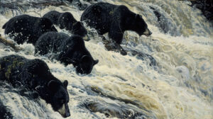 Group of black bears fishing for salmon in a rushing river, their agile movements a testament to their prowess as hunters
