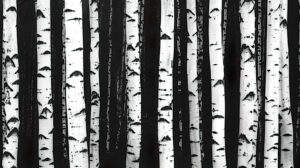 Monochromatic wallpaper of a forest of abstract birch trees with white trunks set against a dark background