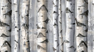 Wallpaper featuring gray and white abstract birchwood patterns capturing the serenity of a calm forest setting
