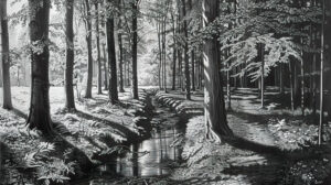 Wallpaper of a peaceful black and white forest scene where towering trees create long shadows and a calm stream weaves through the woodland
