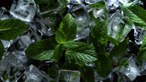 A captivating wallpaper showcasing a creative display of mint leaves and ice cubes providing a refreshing and engaging visual experience