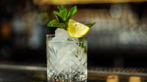 A chilled glass holds a minty cocktail garnished with fresh mint and lemon slice captured in a vibrant photo