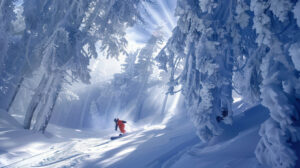 A snowboarder gracefully navigating through a crowded snowy forest under dappled sunlight captured in a picture named Sunlit Snowboarder