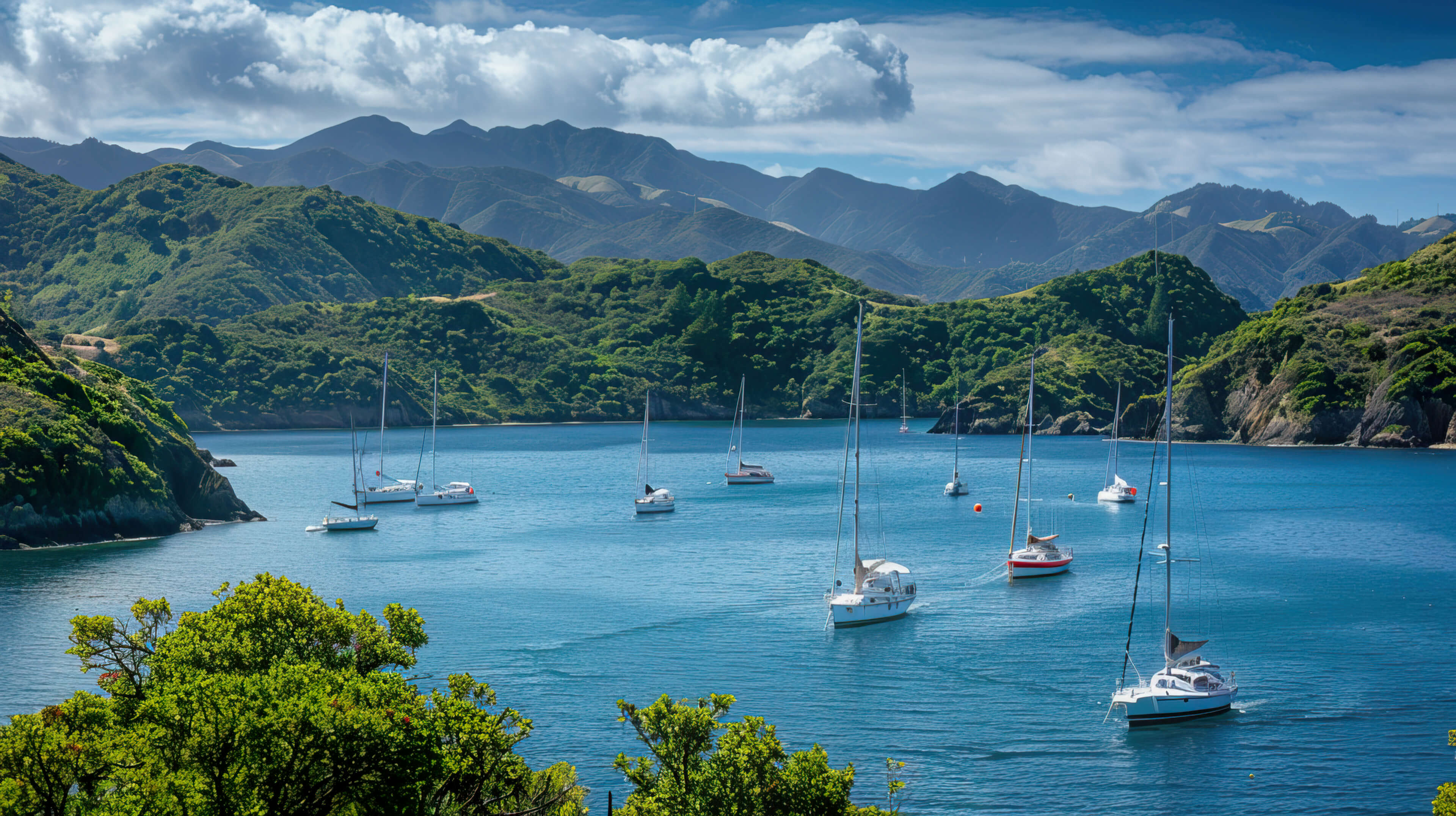 In the wallpaper sailboats are peacefully anchored in a serene bay with their masts soaring high against a backdrop of vibrant green hills and crystal clear blue waters