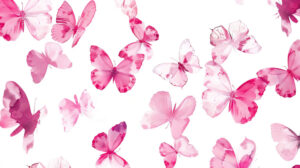 A minimalist and elegant wallpaper featuring a scattering of pink butterflies in an abstract pattern against a white background