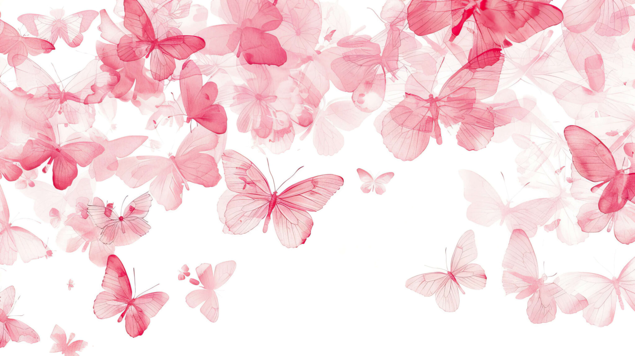 Pink Butterfly Wallpaper, Free, 4k