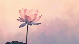 A minimalist design featuring a lotus flower silhouette against a soft pastel background, evoking a sense of peace and tranquility
