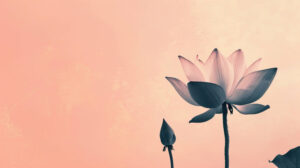 A serene and peaceful wallpaper showcasing a simple lotus flower silhouette set against a gentle pastel backdrop