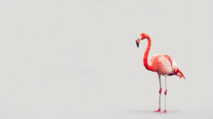 A sleek design showcasing a single flamingo elegantly perched on one leg against a clean white backdrop highlighting its graceful silhouette.jpg