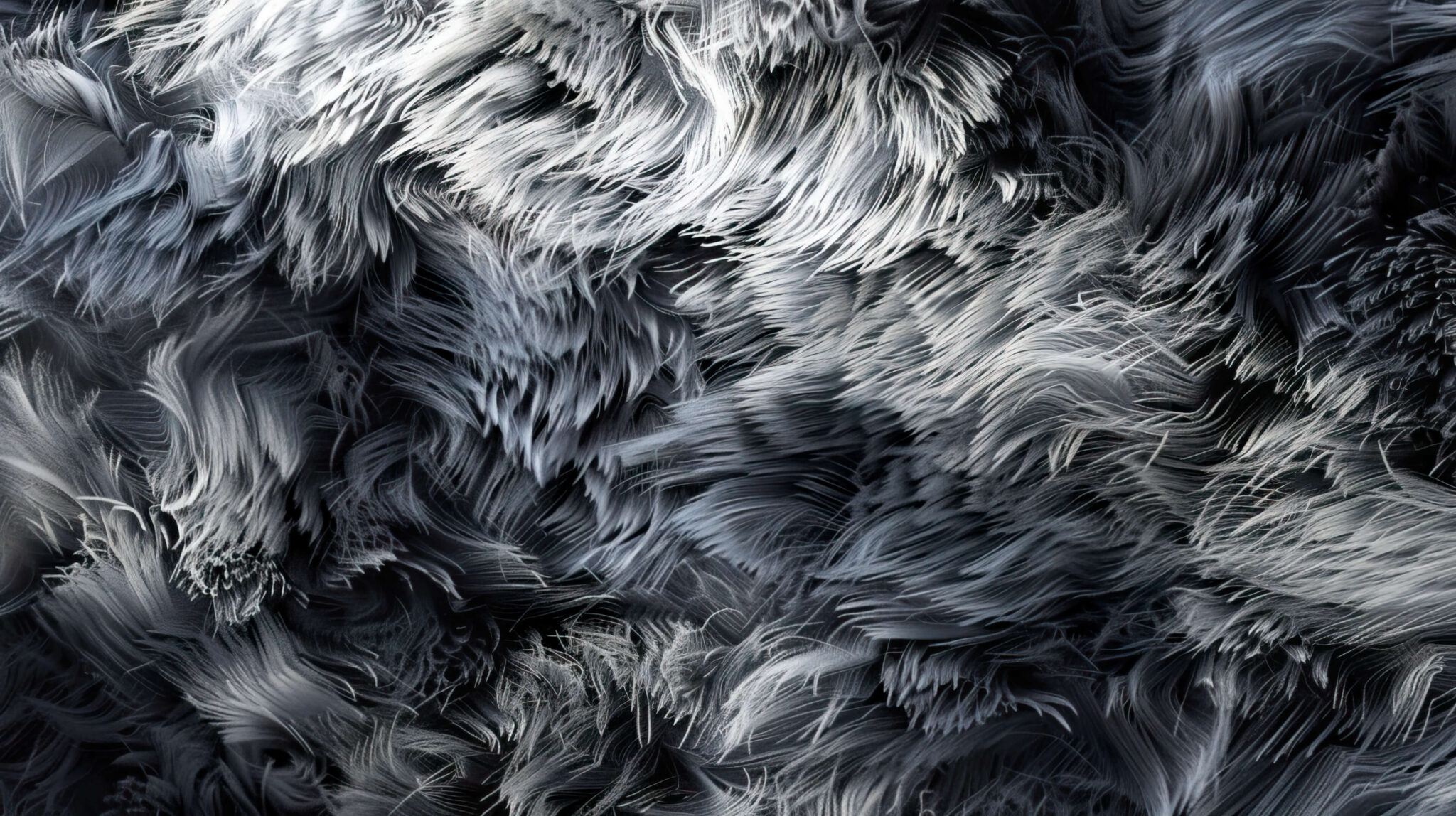 Fur Wallpaper, Free, 4k