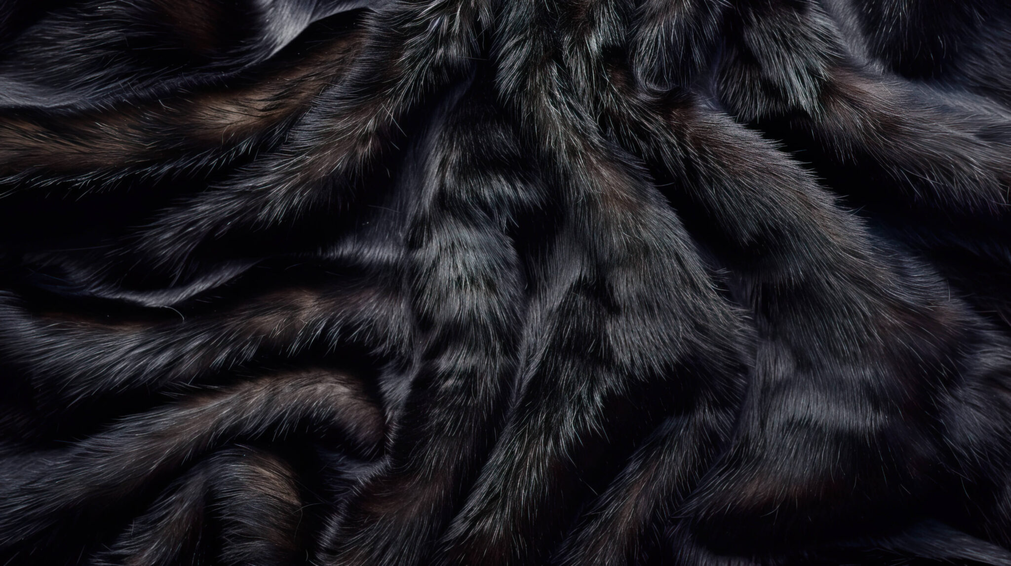 Fur Wallpaper, Free, 4k