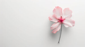 Minimalist wallpaper featuring a lone delicate flower in soft pastel tones against a pure white backdrop exuding a serene and sophisticated ambiance