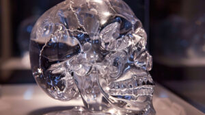 A transparent skull crafted from glass or ice gleaming as it catches light and casting prismatic patterns