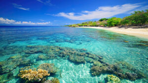 A mesmerizing wallpaper of a pristine beach with clear waters revealing vibrant coral reefs below the surface