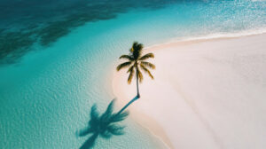 A minimalist beach with smooth white sand, a single palm tree, and a crystal clear turquoise sea